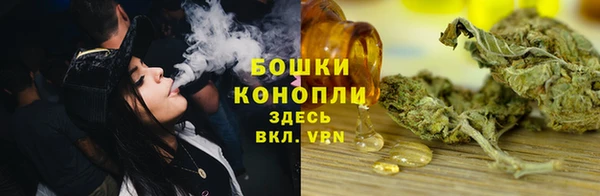 трава Абаза