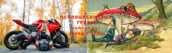мяу мяу мука Абдулино