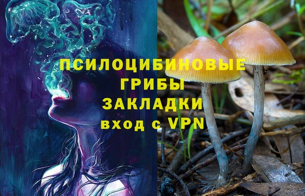 трава Абаза