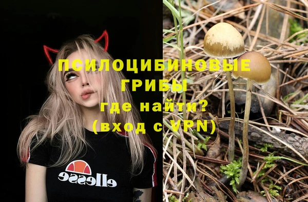 мяу мяу мука Абдулино